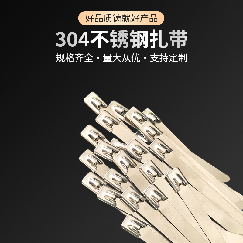 巡津捷304不锈钢扎带园林户外捆绑固定自锁式扎带 4.6*400mm 20根 BZD-46400 不锈钢