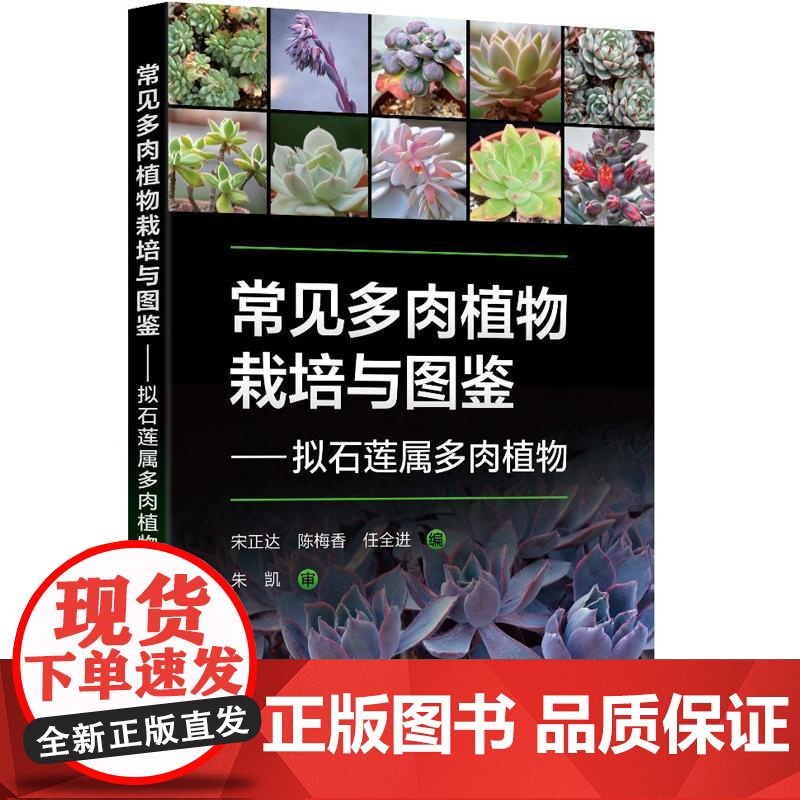 常见多肉植物栽培与图鉴——拟石莲属多肉植物 宋正达、陈梅香 化学工业出版社9787122474681高清大图