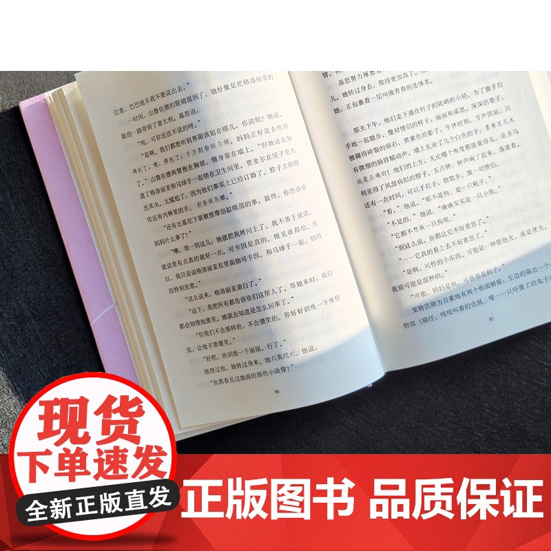 怀孕的寡妇 [英]马丁·艾米斯 著 艾黎 译 长篇小说 英国现代小说 上海译文出版社 正版高清大图