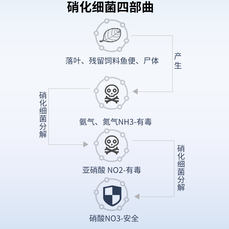 硝化细菌鱼缸用净水剂鱼药养鱼净化水质稳定剂乌龟水族消化活菌液高清大图