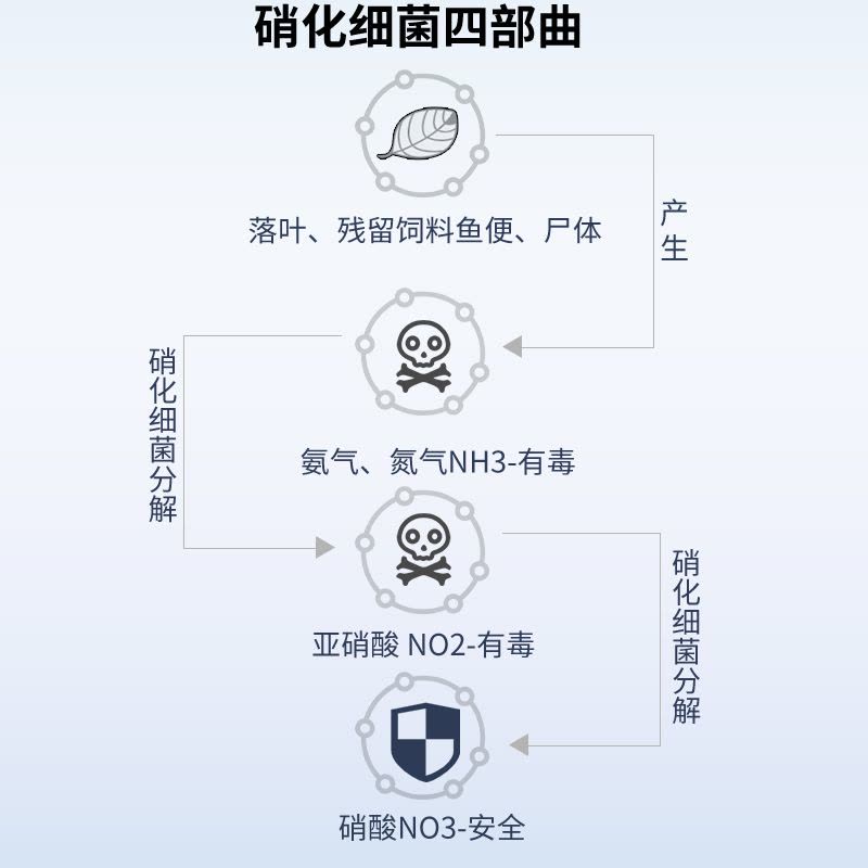 硝化细菌鱼缸用净水剂鱼药养鱼净化水质稳定剂乌龟水族消化活菌液图片