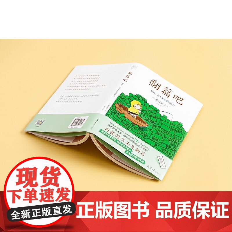 翻篇吧 91岁心理医生写给年轻人的71个工作人际交往亲密关系都适用的翻篇练习 让你拥有稳定的内核活出快意人生高清大图