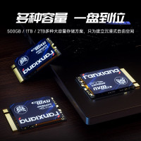 梵想(FANXIANG)S630系列500GB SSD固态硬盘 M.2接口NVMe协议PCIe 4.0 x4 2230