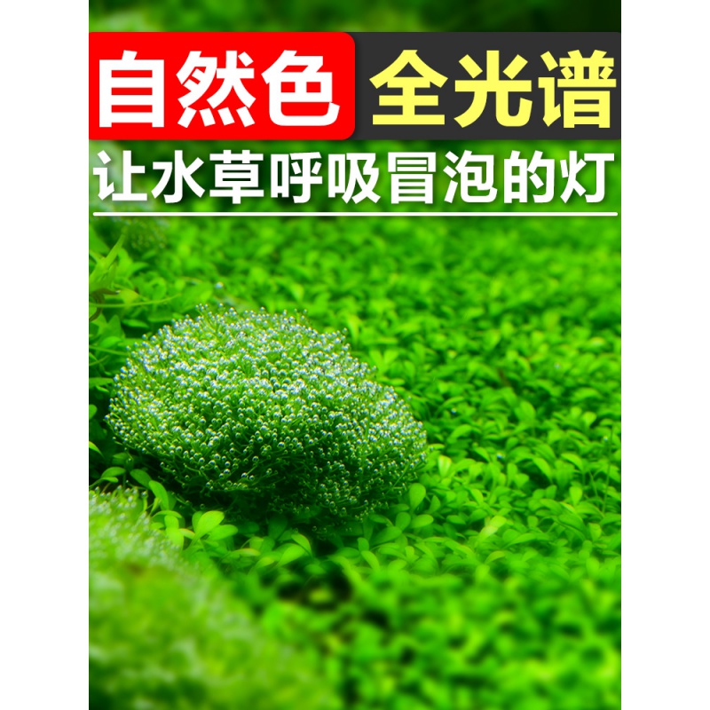 鱼缸水灯全光谱led照明防水堪比尼特利神灯专业缸灯高清大图