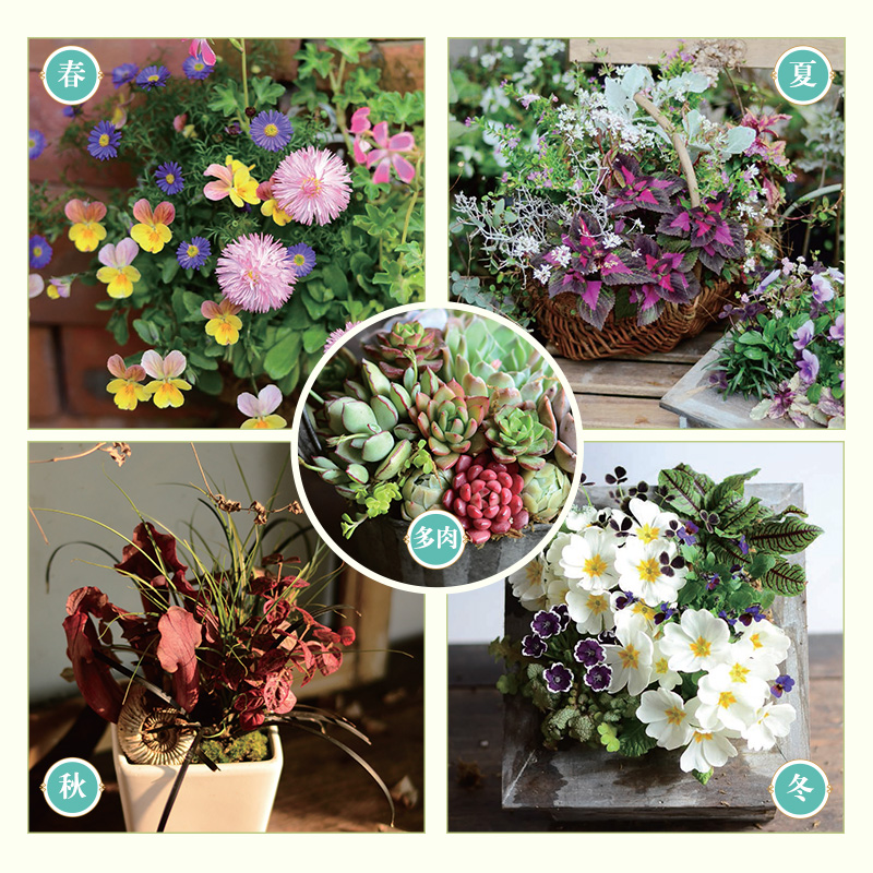 [醉染正版]微花园 组合盆栽种植实操指南 花艺书籍 养花书籍 盆栽书籍高清大图