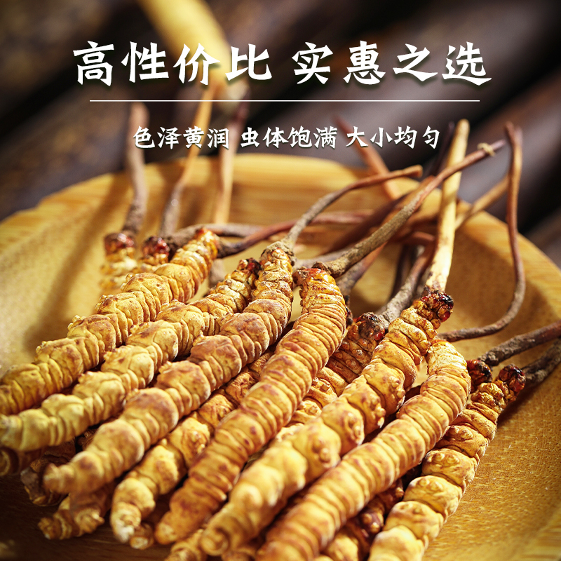同雍堂冬虫夏草 虫草礼盒 3根/克 30根水晶管装 商务 送礼送父母长辈滋补品礼物 3根/克10克装