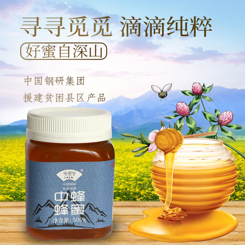 [中华特色]山阳馆 三棵老槐 农家土蜂蜜500g 百花蜜