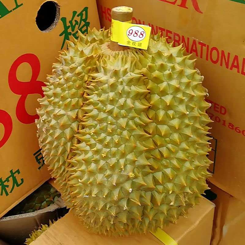 [五个农民]泰国进口一级金枕榴莲应季新鲜水果9-10斤1-2个装[包4房肉]