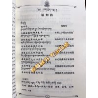 彩印便携版 显密念诵集 彩图质量好