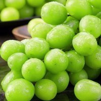[西沛生鲜]新鲜阳光玫瑰葡萄 净重4.5斤 葡萄 青提子 应当季脆甜新鲜水果 孕妇 整箱