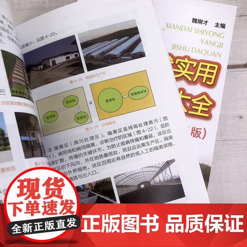现代实用养鸡技术大全(第二版)养鸡技术手册 魏刚才主编9787122384119 图解养鸡技术手册高清大图