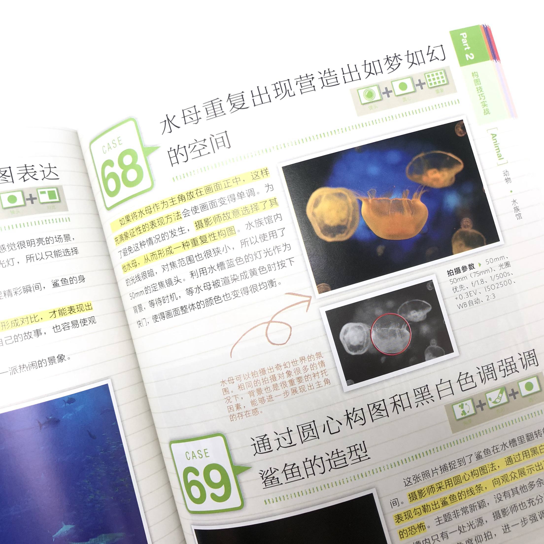 [正版]套装2册摄影构图+人像摄影 迅速提升照片水平的150个关键技法 摄影教程书人像摄影构图摆姿入门手机摄影教程技法高清大图
