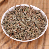 叶下珠250克袋装 新货正品叶下珠珍珠草龙珠草鱼鳞草夜合草