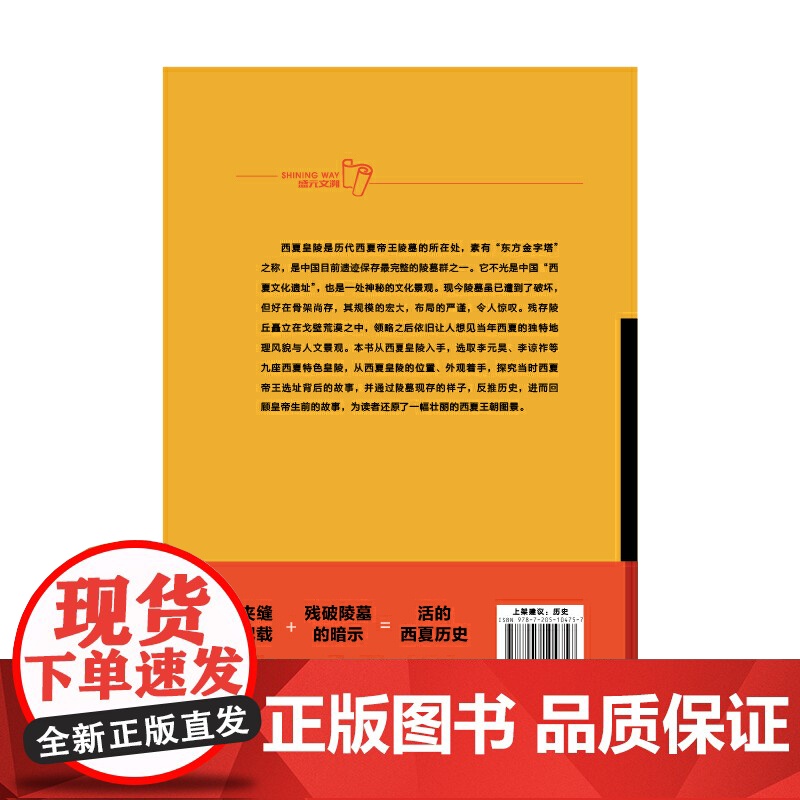 墓史密码之神秘的西夏皇陵高清大图