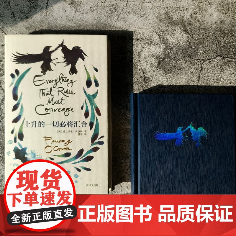 上升的一切必将汇合 欧亨利短篇小说奖篇幅奥康纳文集著名短篇小说集弗兰纳里奥康纳著上海译文出版社外国文学小说正版图书籍高清大图