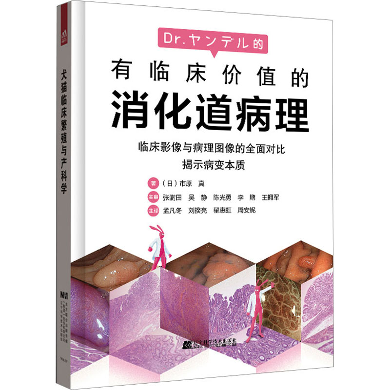 醉染图书有临床价值的消化道病理9787559124616高清大图