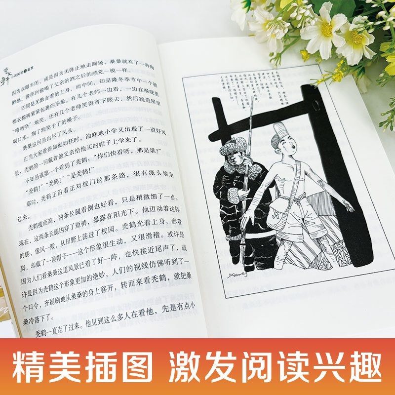 [全5册]青铜葵花+草房子+小英雄+细菌+宝葫芦 [正版]草房子曹文轩原著完整版 获奖文学作品书籍 四年级下册至五六阅读