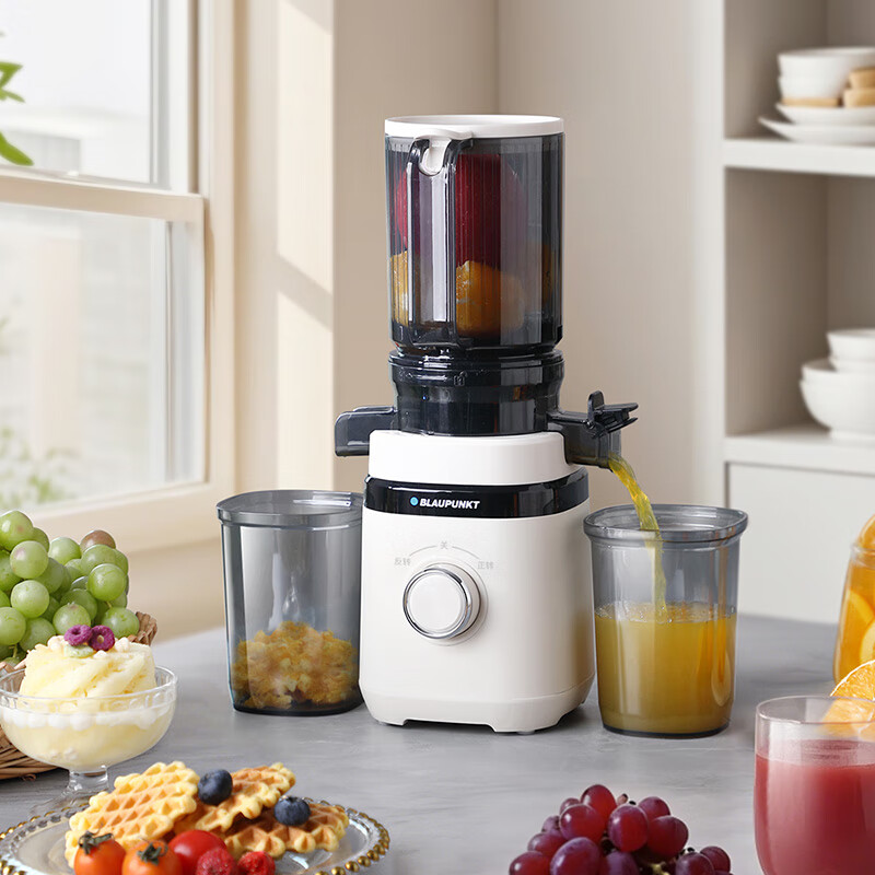 蓝宝(BLAUPUNKT)蓝宝原汁机BP-YZ56A