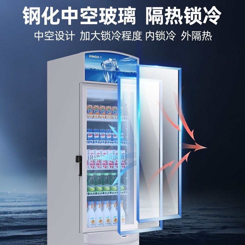 星星(XINGX)LSC-220WE展示柜商用198升 风冷无霜立式冷藏保鲜陈列柜 商超便利店玻璃门啤酒饮料柜