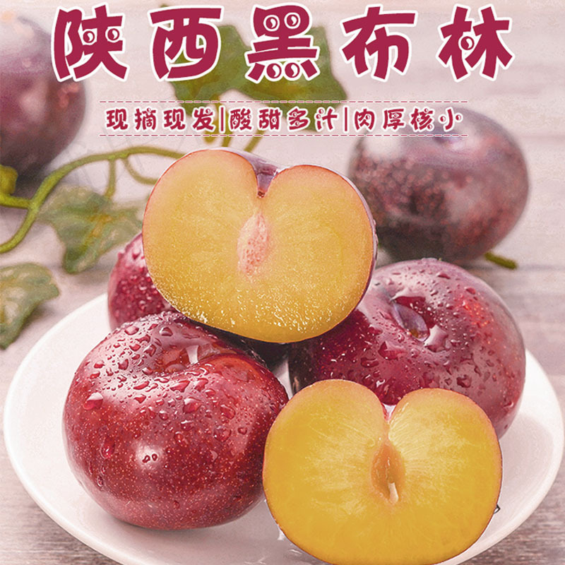 陕西黑布林现摘现发5斤/9斤新鲜应季孕妇水果酸甜可口李子