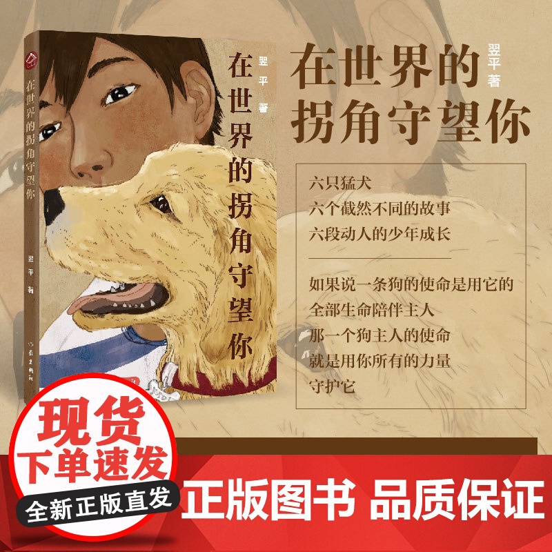 在世界的拐角守望你(六只猛犬,六个截然不同的故事,六段动人的少年成长)全国优秀儿 赵易平 作家出版社 正版书籍高清大图
