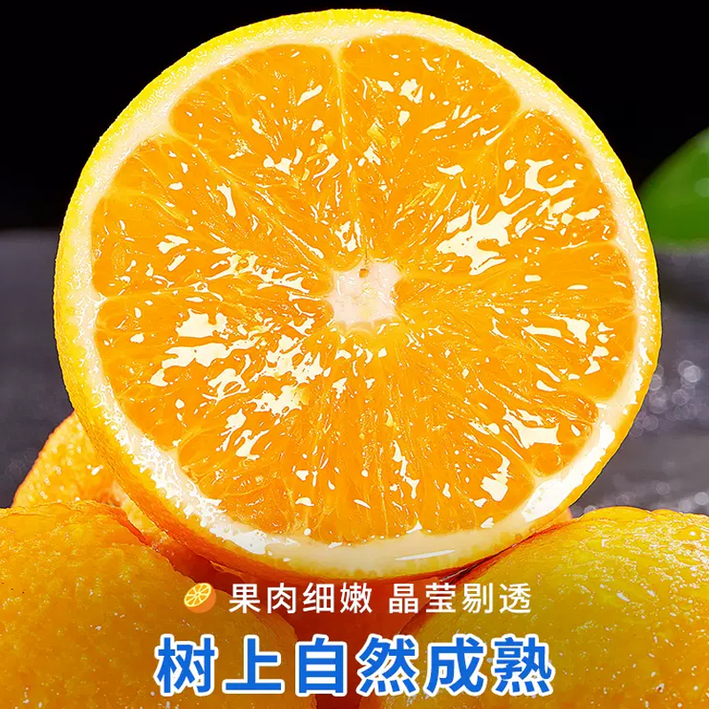 [西沛生鲜]正宗伦晚脐橙 净重9斤 单果70-75mm 秭归橙子水果新鲜当季整箱斤果冻甜橙春橙伦晚脐橙