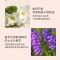 [买1发4]护手霜2支+唇膏2支 美肤宝护手霜美白嫩肤补水保湿滋润粗糙干燥防裂防裂淡化手纹学生