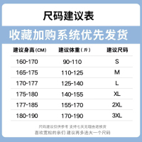 狮臣SHICHEN 2023年秋季新款男士T恤青少年圆领长袖T恤男百搭t恤男士打底衫运动汗衫长袖体恤男装