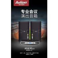 爱浪(AvliGHT)MK820-12专业会议演出KTV音箱套装家庭影院音响无线话筒