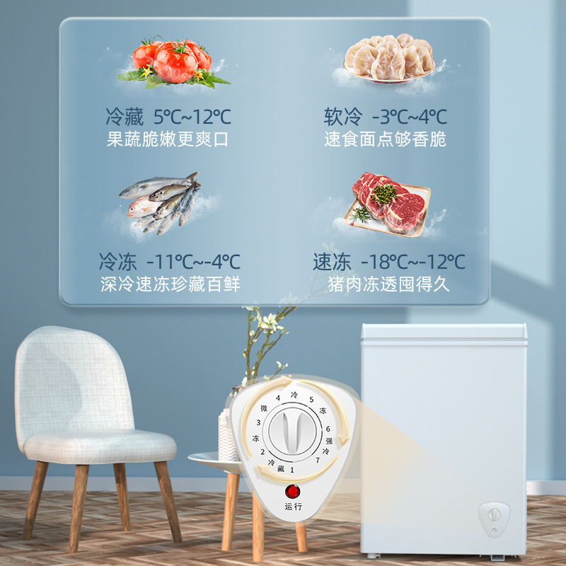 夏新208升冰柜一级能效小型家用冰箱冷柜冷藏迷你保鲜冷冻两用