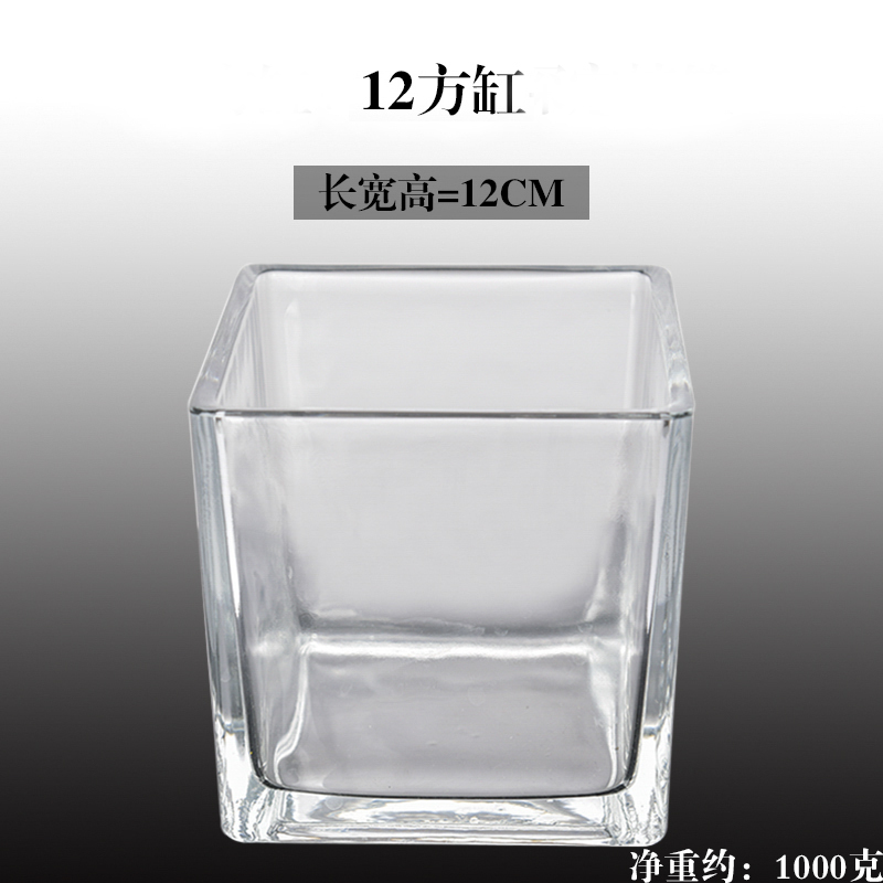 水培器皿创意玻璃花盆水养植物瓶透明花器绿萝白掌花瓶正方形容器