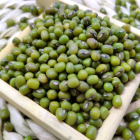 巴马绿豆小绿豆农家笨绿豆五谷杂粮熬粥绿豆汤原材料500g