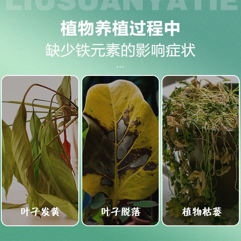 硫酸亚铁柠檬酸花肥养花栀子花杜鹃茶花茉莉黄叶喜酸植物铁肥图片