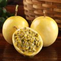 【西沛生鲜】精品黄金百香果 百香果西番莲鸡蛋果 净重2.5斤 中果 单果45-60g 新鲜采摘