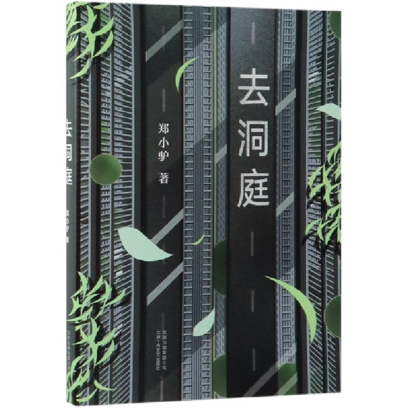 音像去洞庭郑小驴
