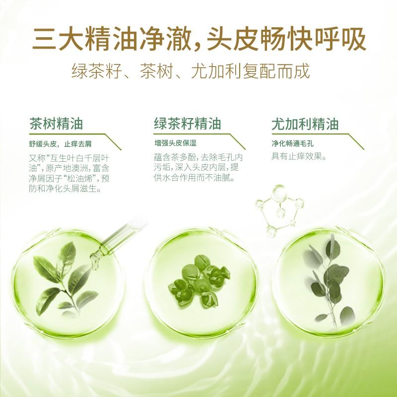 舒蕾[张若昀同款]绿茶籽控油去屑洗发水500ml蓬松发丝老牌国货高清大图
