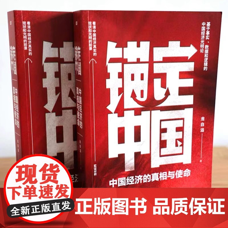 [2025 新书]锚定中国 中国经济的真相与使命 龙白滔著 在深入探究中国经济时所遭遇的一系列困惑等 经济理论书籍 东方高清大图