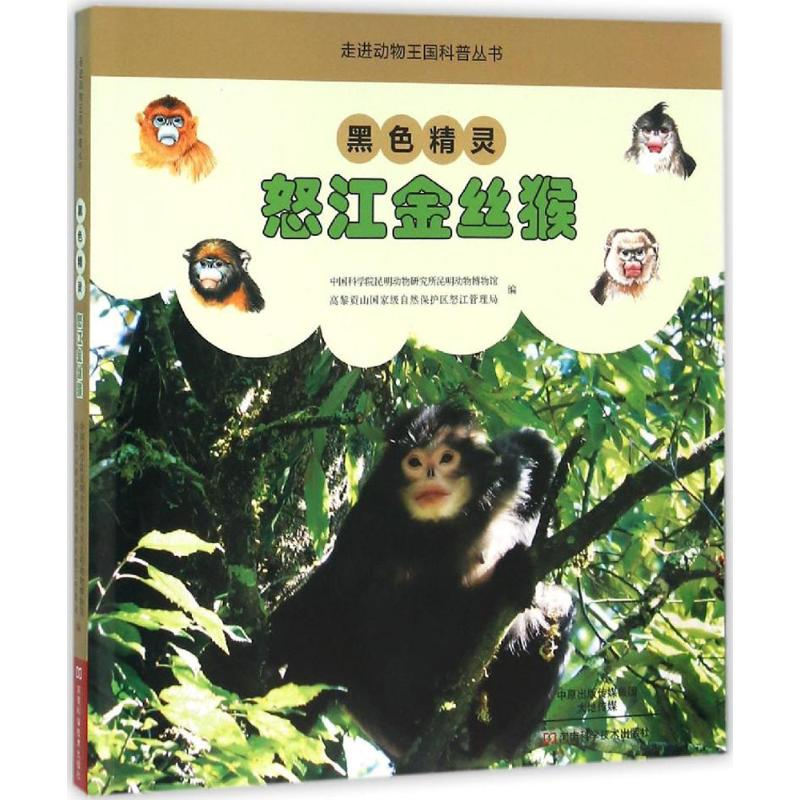 【M】黑色精灵-9787534980497