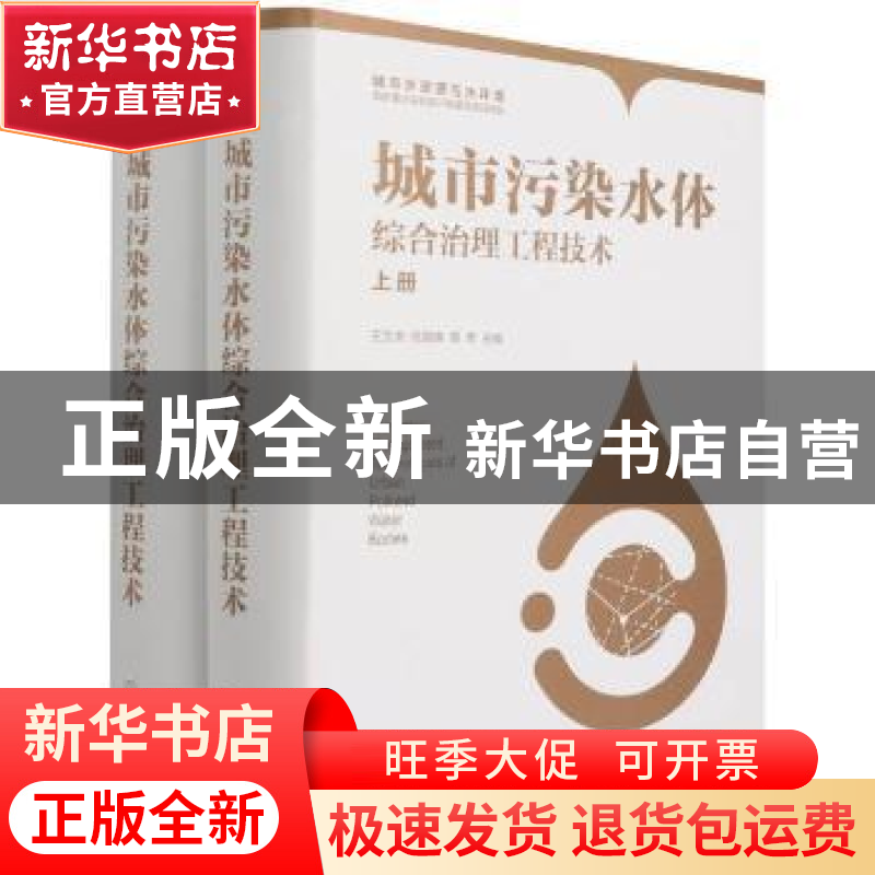 正版 城市污染水体综合治理工程技术 王宝贞,任南琪,隋军 化学工