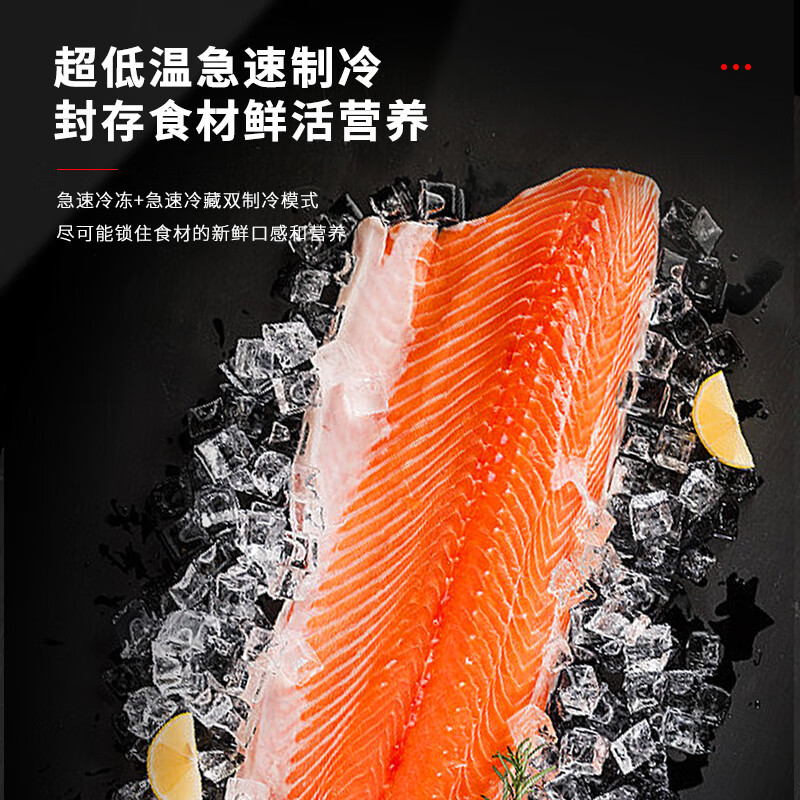西屋全嵌入式冰箱TRF-29X5单机单冷冻