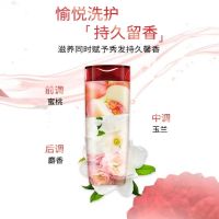 L'OREAL 欧莱雅美发多效修护洗发水 修护染烫受损干枯200ml
