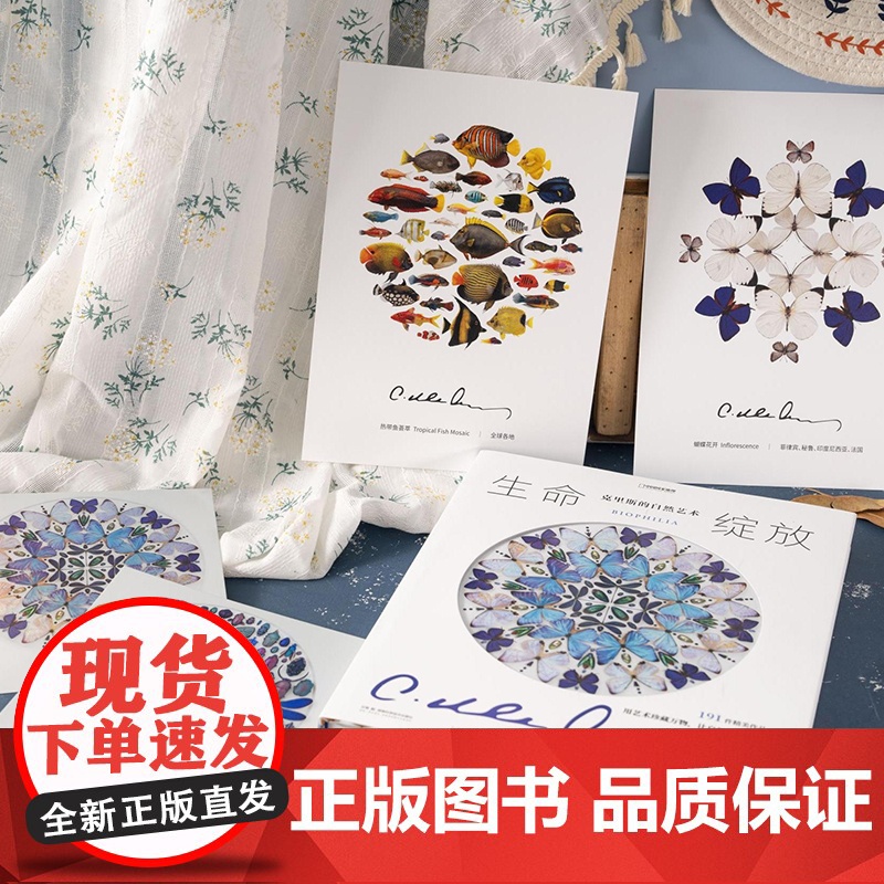 生命绽放:克里斯的自然艺术 中国国家地理昆虫标本艺术画册高清大图