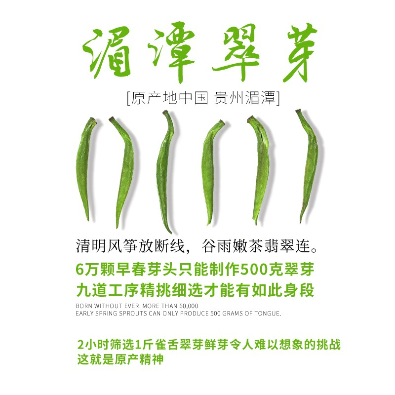 贵天下 湄潭翠芽新茶绿茶清香茶叶 精品湄潭翠芽 250g*1包高清大图