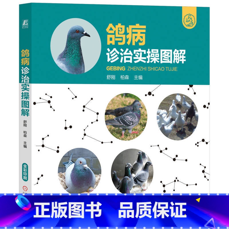 【正版】鸽病诊治实操图解 兽医学书籍动物疫病防疫动物医学 养鸽书养殖技术大全教程书籍 高效养鸽鸽病综合防控速诊快治技