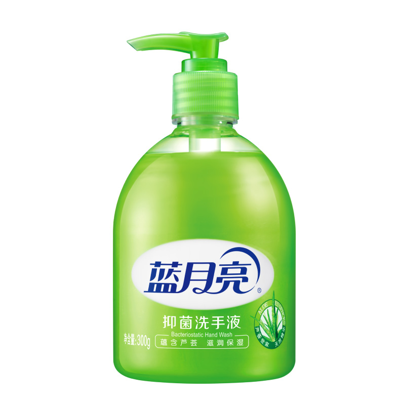 蓝月亮洗手液300g温和护手泡沫绵密瓶装芦荟香10000123