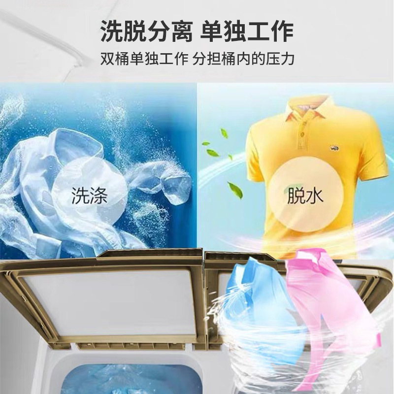 黄金蛋 10公斤 洗脱一体机 全自动洗涤