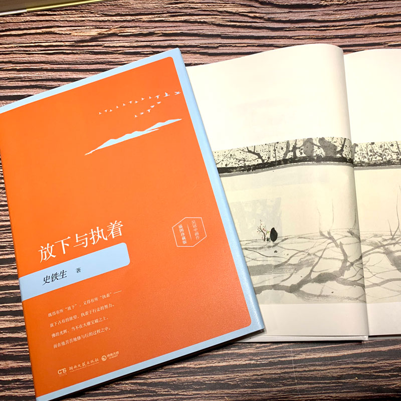 [正版]放下与执着 插图珍藏版 史铁生 著 中国近代随笔文学 书店图书籍 湖南文艺出版社高清大图