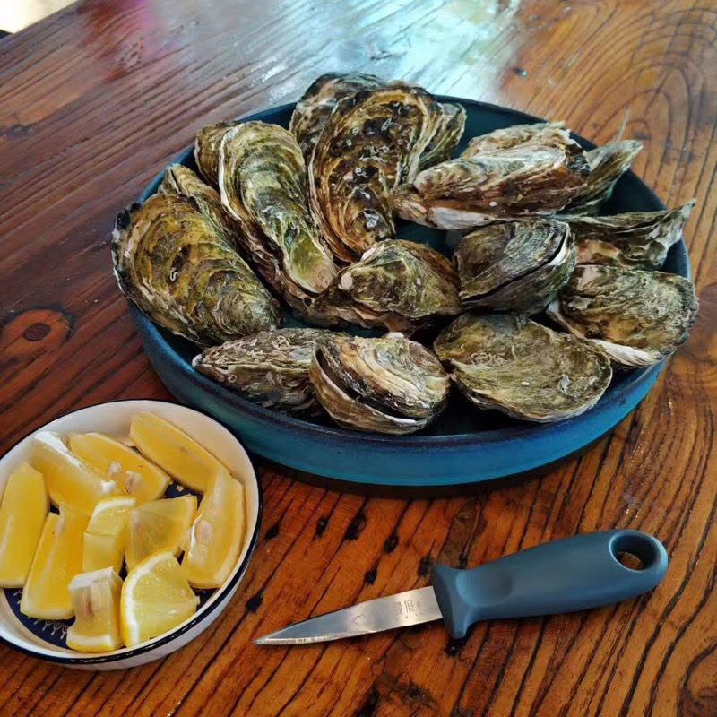 [活鲜]沈志雄船长 刺身生蚝海蛎东山岛牡蛎 冷水蚝 刺身生蚝2.5kg (约35-42个) 顺丰空运图片