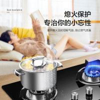 万和(Vanward) 一级能效 燃气灶液化气灶具 煤气灶双眼灶 台式灶具嵌入式灶两用 燃气炉具自营 JZY-B3L20