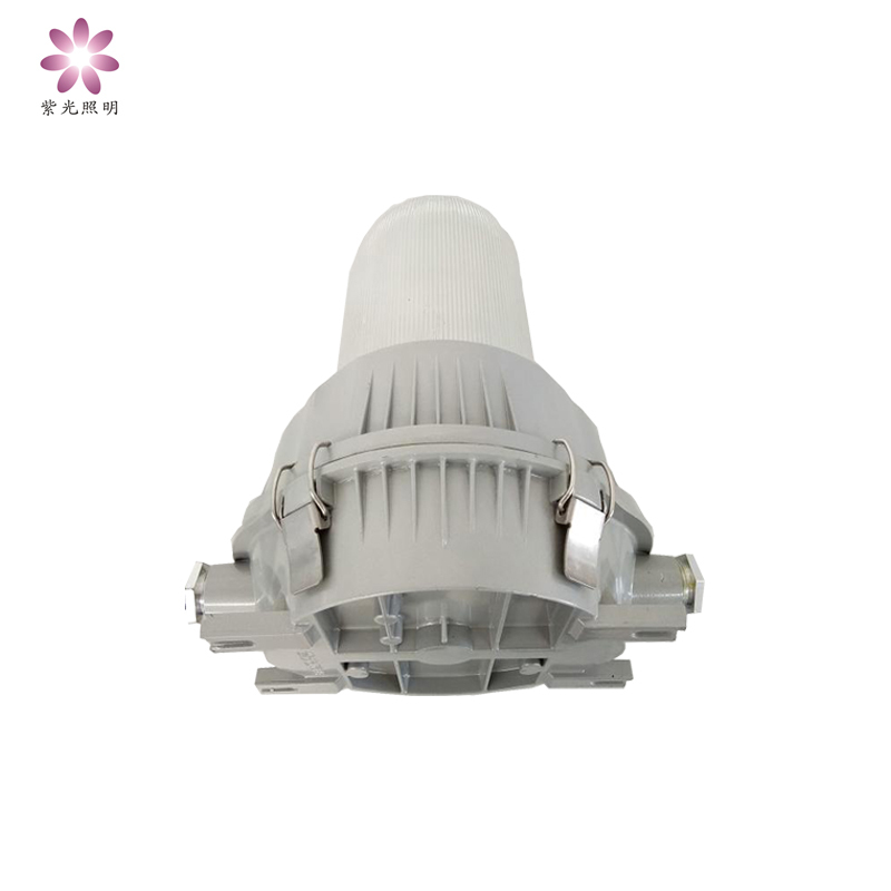 紫光照明(Purple Lighting)GF9150-J100W 防眩泛光灯